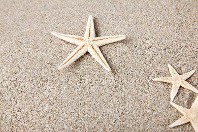 国产独立游戏《三伏》试玩版3月21日正式上线